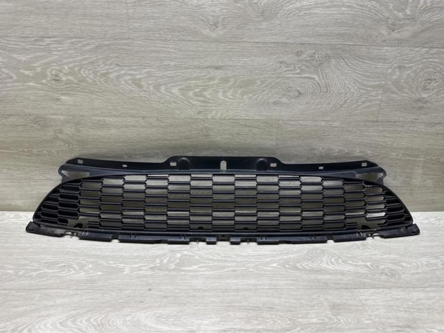 Захисна решітка радіатора 51110442012 BMW