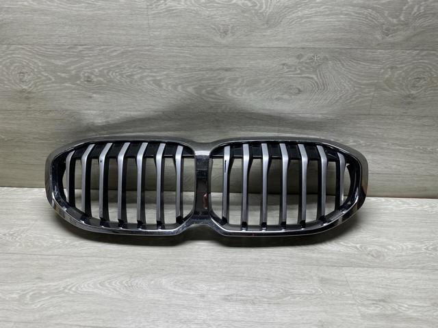 Захисна решітка радіатора 7450957 BMW