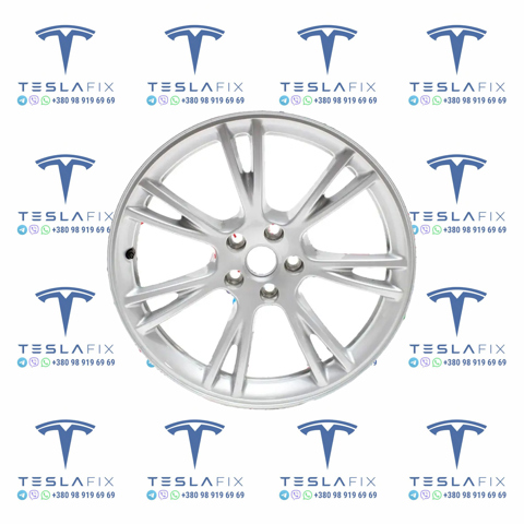 Диски литі (легкосплавні, титанові) 348822200A Tesla Model