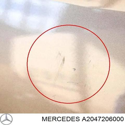 Пасажирські передні двері A2047206000 MERCEDES