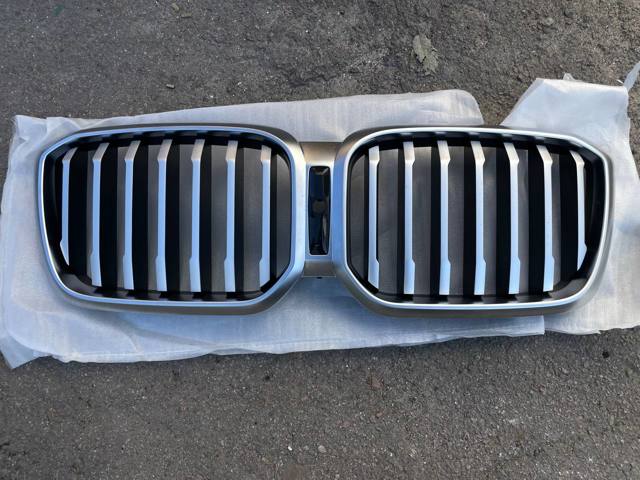 Захисна решітка радіатора 51137931236 BMW
