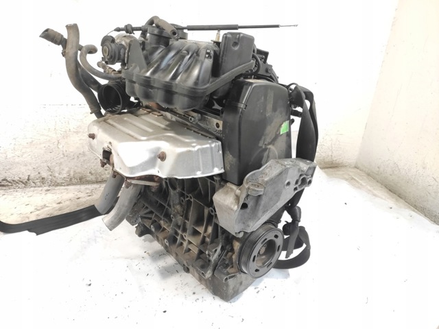 Двигун у зборі 06A100098AX VAG