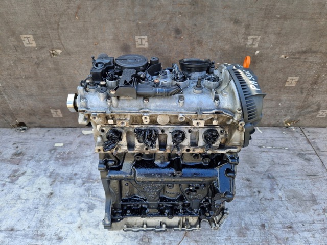 06J100033F VAG