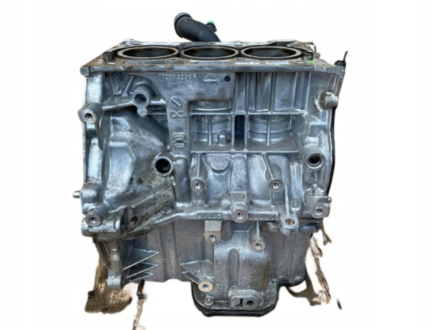 Двигун у зборі 110119230R NISSAN