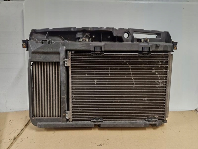 9809080880 Peugeot/Citroen