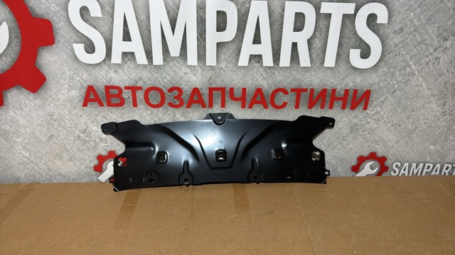 Накладка верхня передньої панелі/супорту радіатора 51647383855 BMW