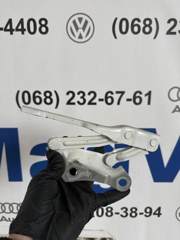 Завіса капота ліва 3T0823301B VAG