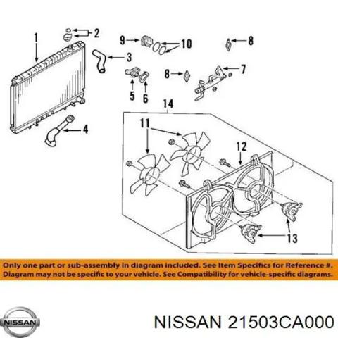 Шланг/патрубок радіатора охолодження, нижній 21503CA000 NISSAN