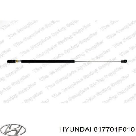 Амортизатор двері 3/5-ї задньої 817701F010 HYUNDAI
