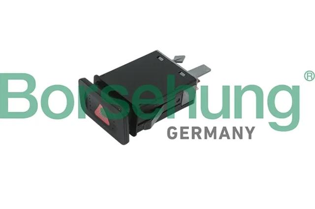 Кнопка аварійної сигналізації B18001 BORSEHUNG