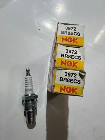 Свічка запалювання BR8ECS NGK