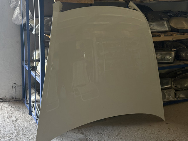 Капот 3D0823031H VAG