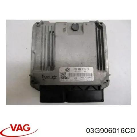 Мізки двигуна 03G906016CD VAG