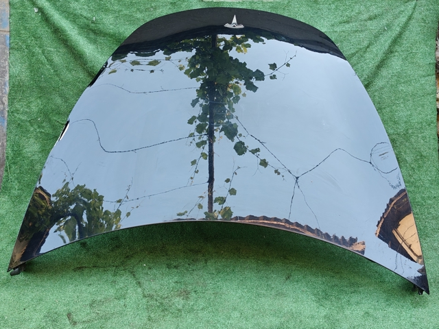 Капот 1081390E0C Tesla Model