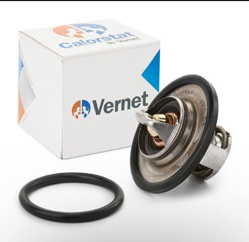 Термостат в зборі TH543482J VERNET