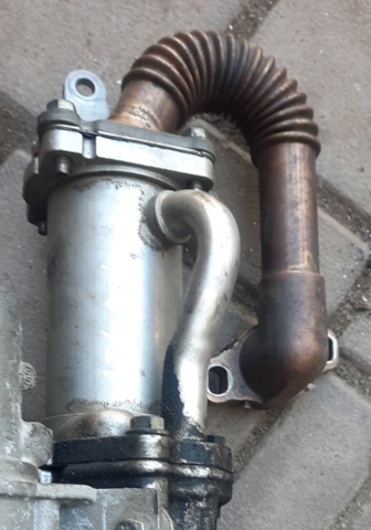 Шланг (патрубок) радіатор EGR, подача 147350718R RENAULT