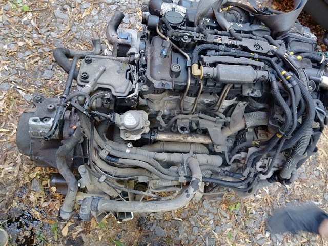 Форсунка дизельна в зборі, розпилювач + тримач 1980K9 PEUGEOT