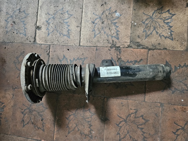 Амортизатор передньої підвіски 31316873804 BMW