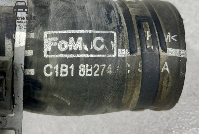 Шланг/патрубок радіатора охолодження, верхній C1B18B274AC FORD