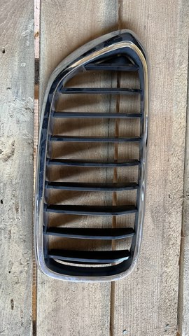 Захисна решітка радіатора 51137412422 BMW