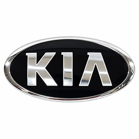 Фірмовий значок на кришку багажника 86310G5100 HYUNDAI