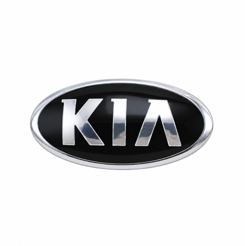 Фірмовий значок решітки радіатора 863201W100 HYUNDAI