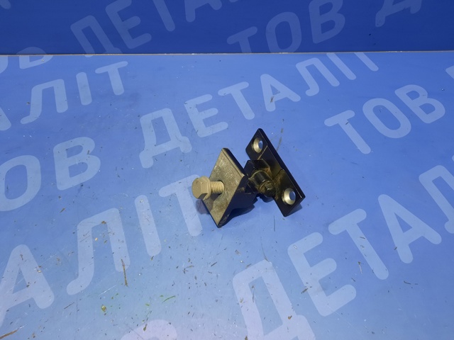 Петля задніх правих дверей 41527200244 BMW