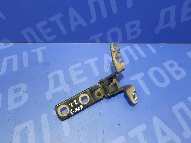Петля третіх/п'ятих дверей 41627170921 BMW