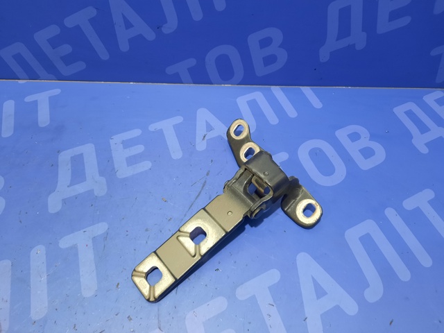 Петля задніх багажних, 3/5 -х дверей 41627170922 BMW