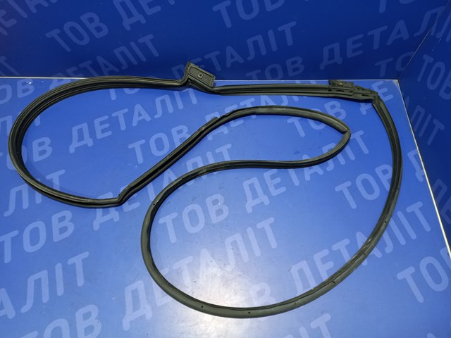 Ущільнювач дверей передніх, лівих (на двері) 42562283 GM