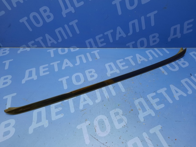 Молдинг лобового скла, лівий 51317250395 BMW
