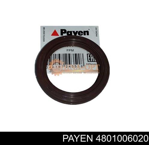 Сальник распредвала двигуна 4801006020 PAYEN