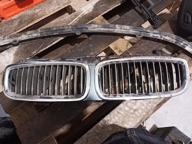 Захисна решітка радіатора 51137037727 BMW