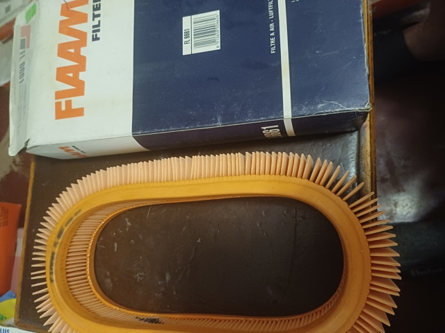 Фільтр повітряний FL6661 FIAAM