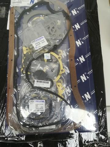 1010130R25 NIPPON MOTORS