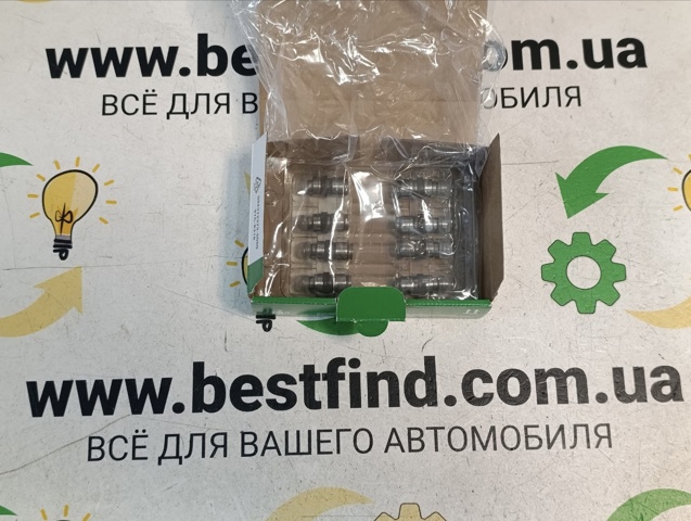Гідрокомпенсатор 420026810 INA