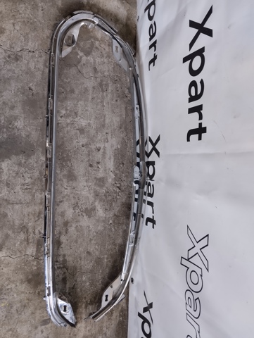 Рамка решітки переднього бампера 101741400D Tesla Model