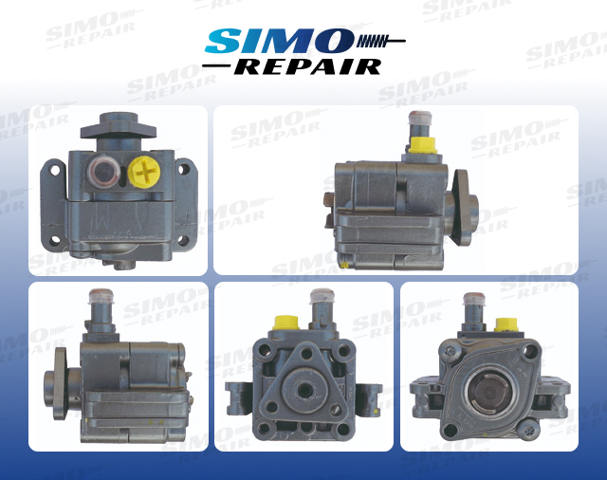 Насос гідравліки 04880307 LIZARTE