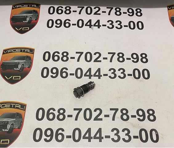 Гідронатяжитель ланцюга JDE38696 JAGUAR