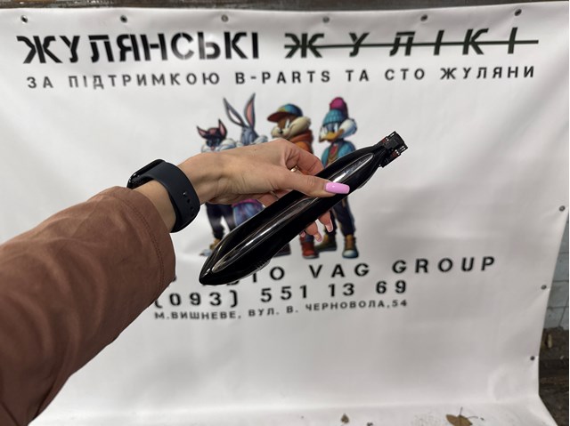 Ручка задньої двері зовнішня ліва 51217249981 BMW