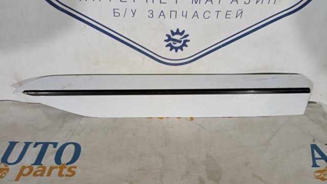 Накладка задніх лівих дверей, нижніх 3V0854949 VAG