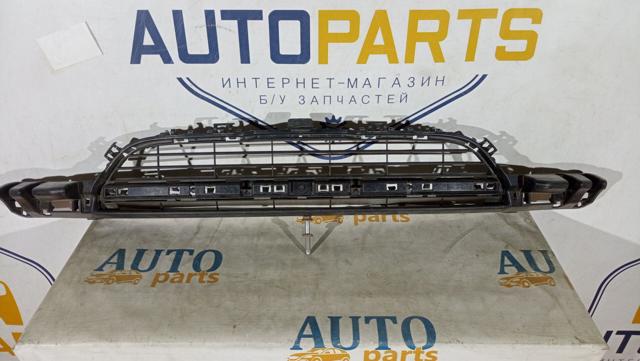 Решітка переднього бампера, центральна 51117245733 BMW