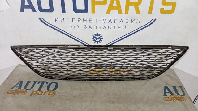 Решітка переднього бампера, центральна 6J0853667 VAG
