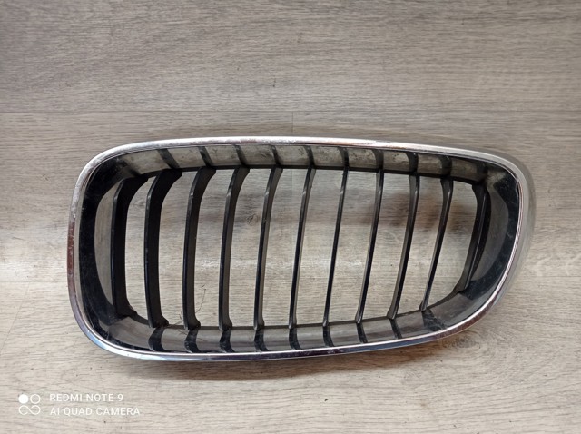 Решітка радіатора 7294803 BMW