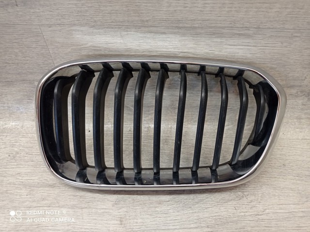 Решітка радіатора ліва 7371747 BMW
