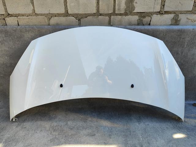 Капот 7901R1 PEUGEOT