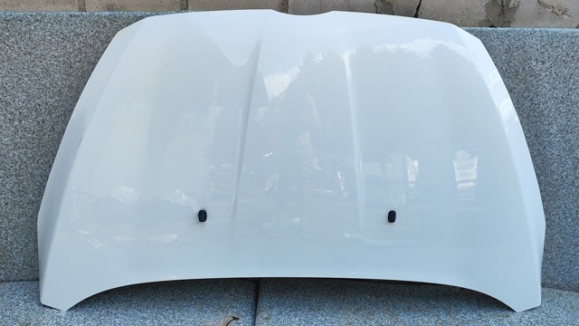 Капот PAV11R16610AC FORD