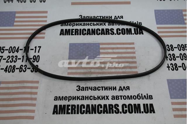 Ремінь кондиціонера 4863835 CHRYSLER