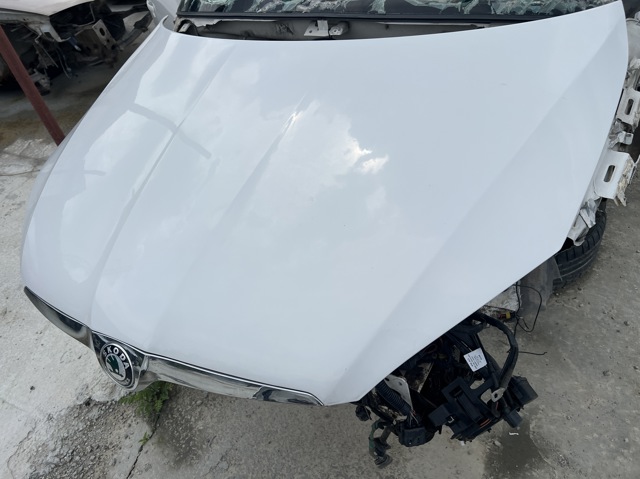 Капот 5J0823031B VAG