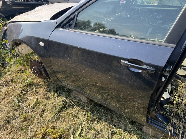 Двері кабіни 60009FG0339P SUBARU